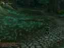 2.3 MB