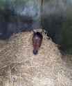 71 KB