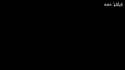 2.3 MB