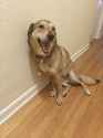 856 KB
