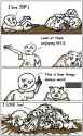 262 KB
