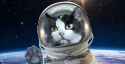 266 KB