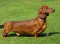 1.41 MB