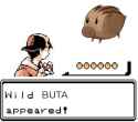 153 KB