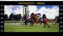 1.73 MB