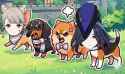 433 KB