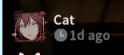 13 KB