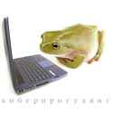287 KB