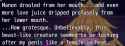 210 KB