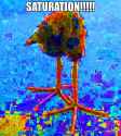 131 KB