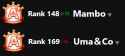 33 KB