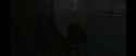 2.7 MB