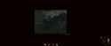 3.55 MB