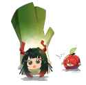 1.53 MB