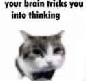 33 KB