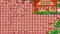 131 KB