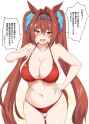 2.45 MB