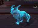 367 KB