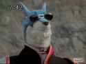 24 KB
