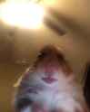 661 KB