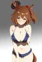 1.23 MB