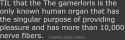 39 KB