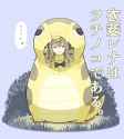 397 KB