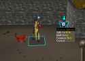 169 KB