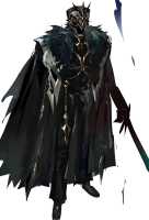 204 KB