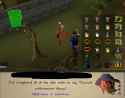 1.16 MB