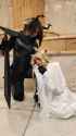 231 KB