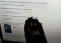 63 KB