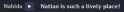 19 KB