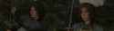 3.1 MB