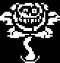 13 KB