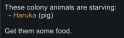13 KB