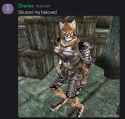 1.57 MB