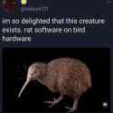 630 KB