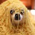 282 KB