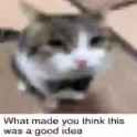 156 KB