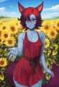 1.47 MB
