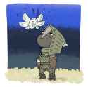 68 KB