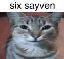 7 KB