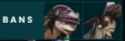 17 KB