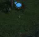 573 KB