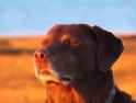 171 KB