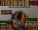 233 KB