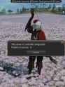 1.2 MB