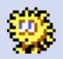 6 KB