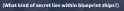 55 KB